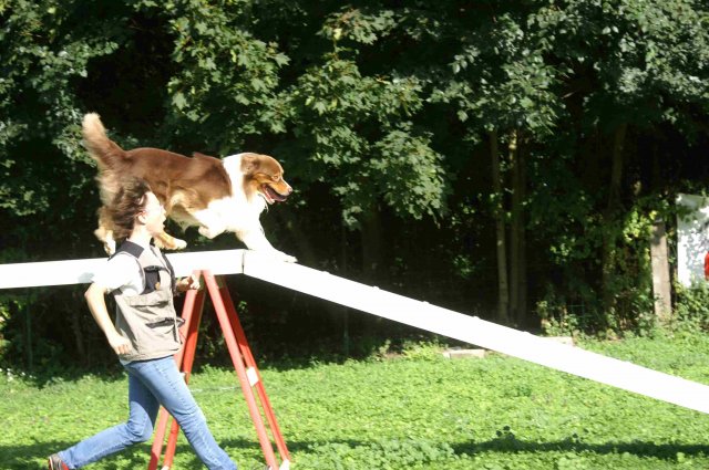 agility 2011-08